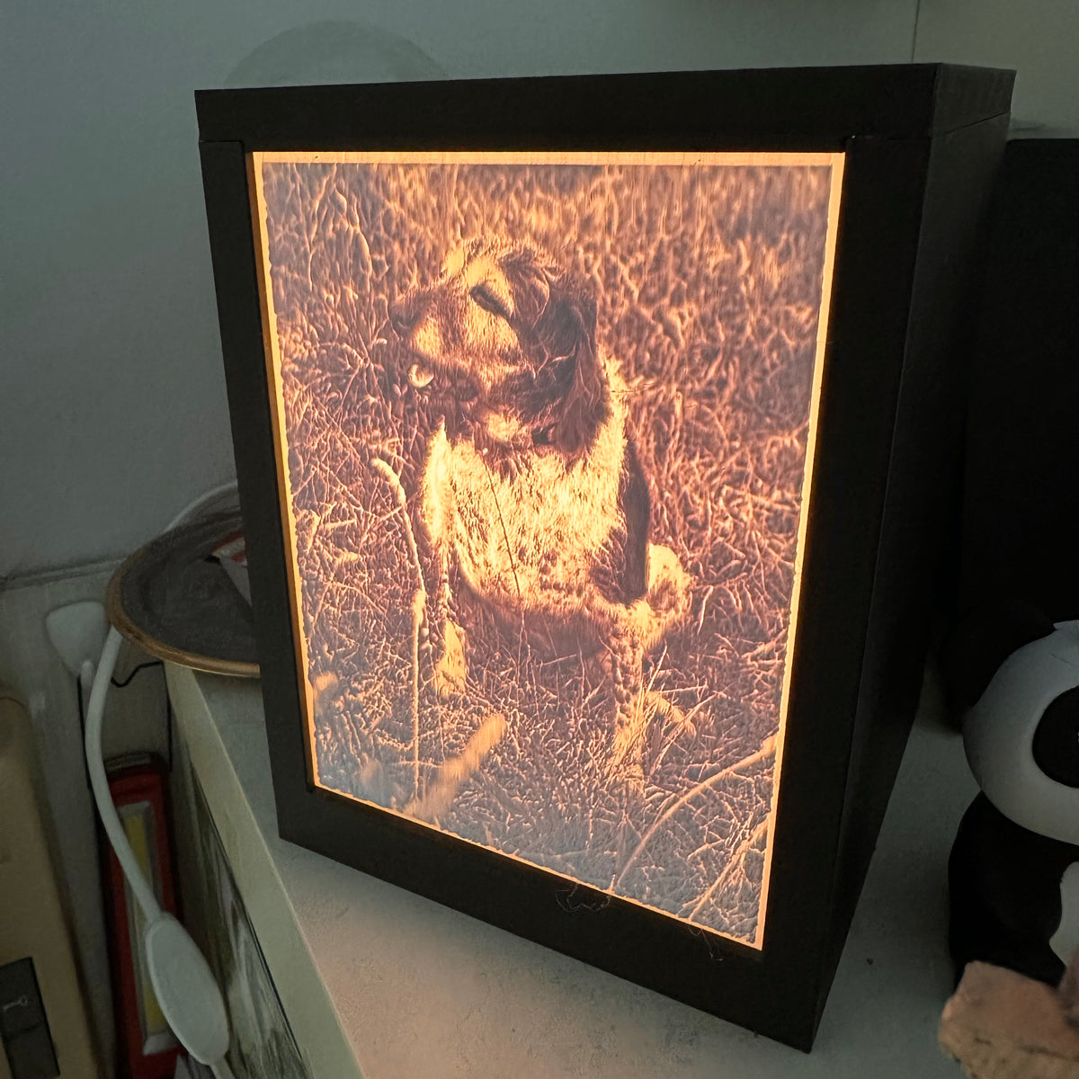 Lampada con litofania fotografica personalizzata