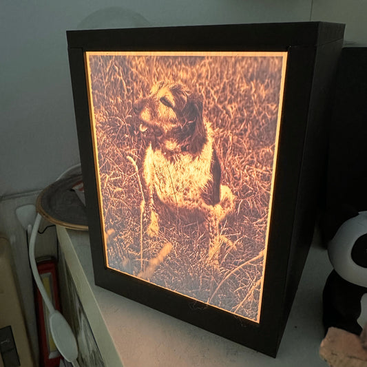 Lampada con litofania fotografica personalizzata
