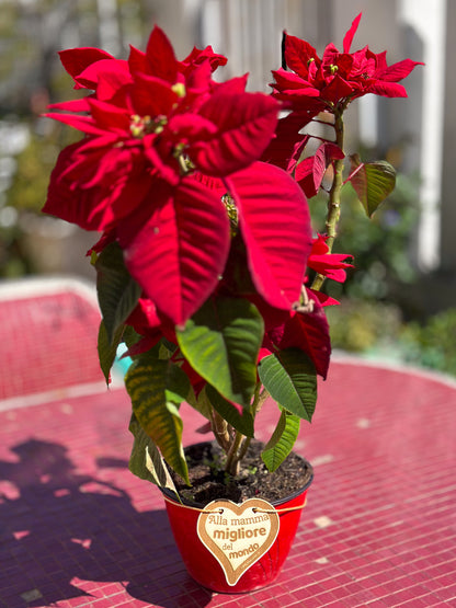 Targa per vaso "Alla mamma migliore del mondo"