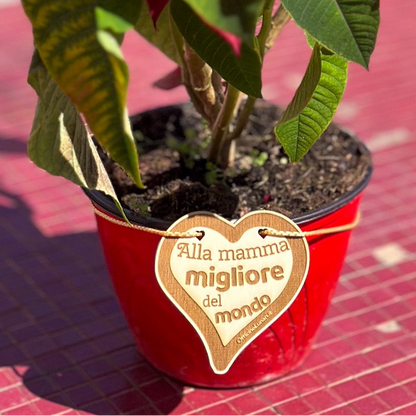 Targa per vaso "Alla mamma migliore del mondo"
