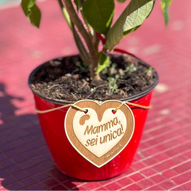Targa per vaso "Mamma sei unica"