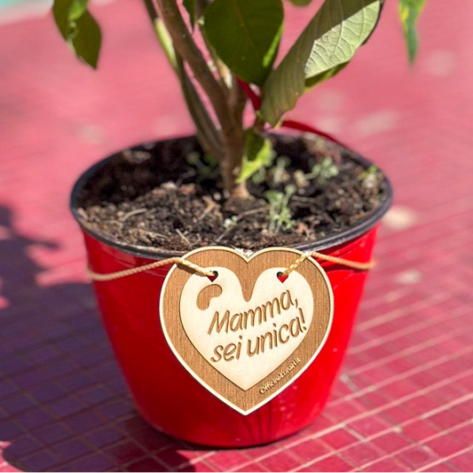 Targa per vaso "Mamma sei unica"
