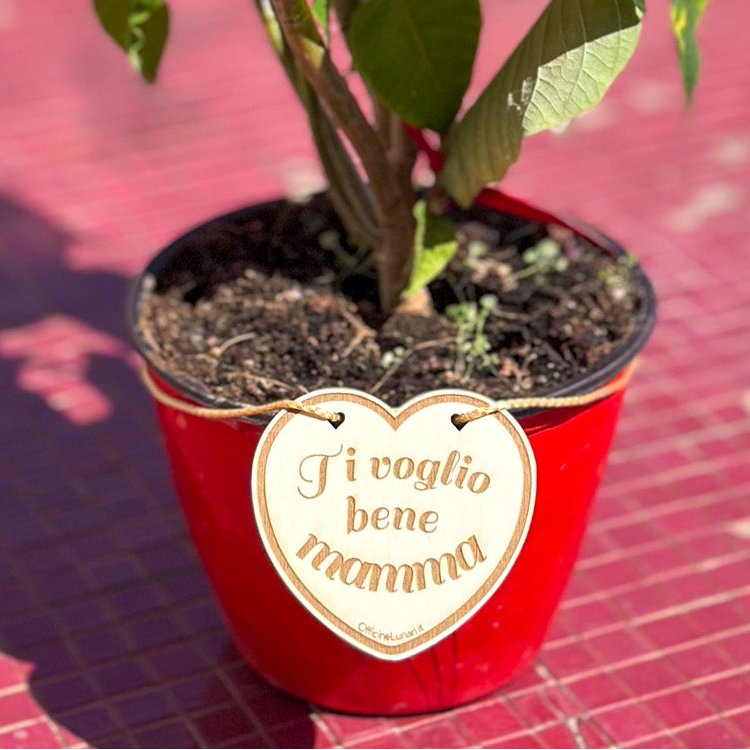 Targa per vaso "Ti voglio bene mamma"