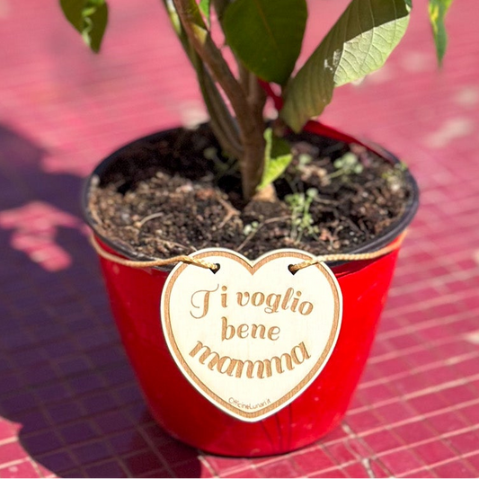 Targa per vaso "Ti voglio bene mamma"